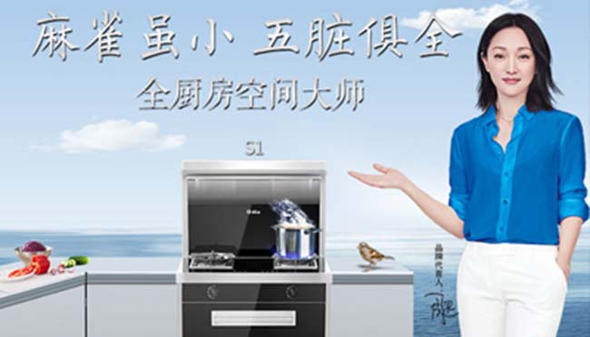 集成灶加盟好项目,让家居更美好 集成灶加盟图