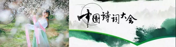 焦点娱乐集成灶